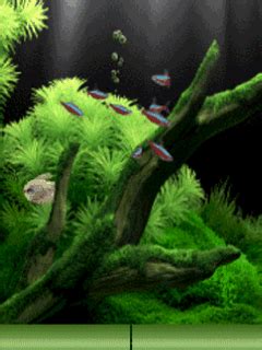 The great collection of android gif wallpaper for desktop, laptop and mobiles. Download Wallpaper Keren Bergerak Untuk Hp Samsung ...