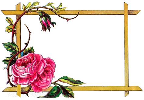 Antique Images Floral Frame Digital Download Pink Rose Border Design