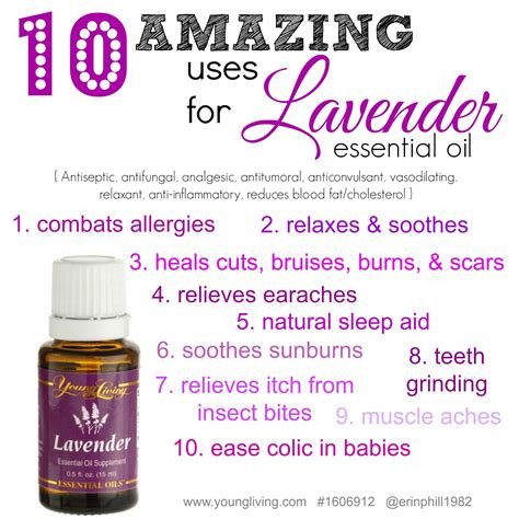 Yl Lavender Essential Oil This Is A Must Have Essential Oil For