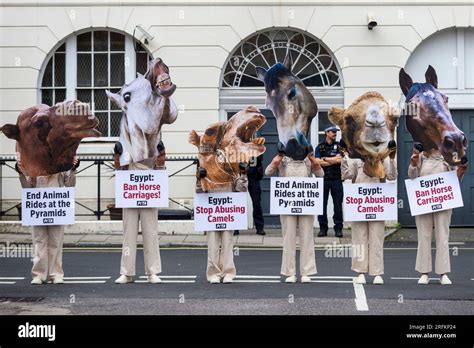 London Großbritannien 4 August 2023 PETA Anhänger mit Hufen und