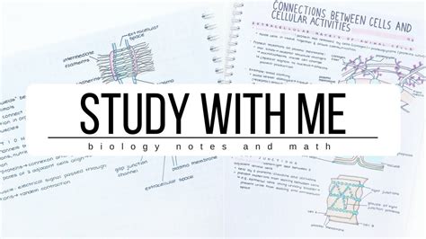 These summaries work as revision notes as well as important for examination study materials of the biology form four 4 help in solving the extra and inside questions that are asked in exams. Study With Me ☀️Biology notes and Math | studytee - YouTube