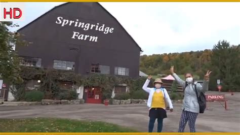 Springridge Farm - Milton, Ontario | Store & Outdoors Activities Adults & Young | Autumn - 2020 ...