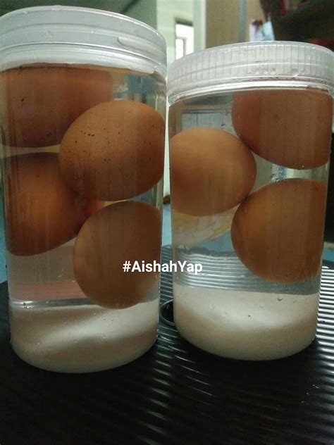 Ini Cara Buat Telur Masin Homemade Guna Telur Ayam Lagi Sedap Dari Telur Itik Daily Makan