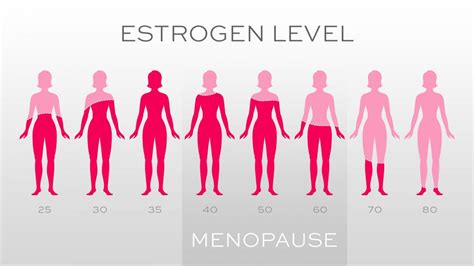 Estrogen Everything You Need To Know Vaginal Health Hub