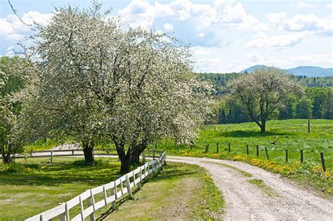Royalty Free Vermont Spring Pictures Images And Stock Photos Istock