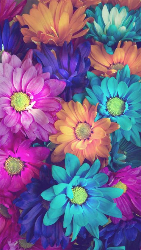 Apple Iphone Wallpaper Flowers