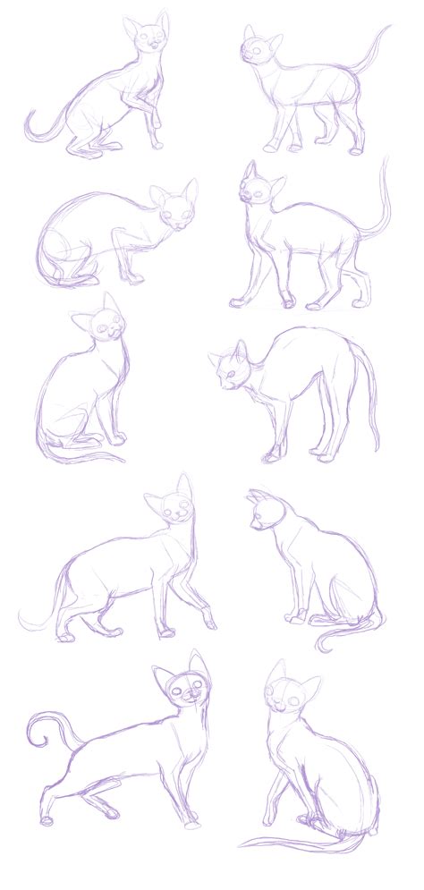 Genial Cat Poses To Draw Yoga X Poses