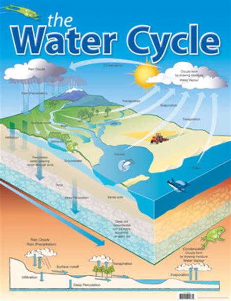 The Water Cycle Educational Chart Charts Educational Teaching Aids