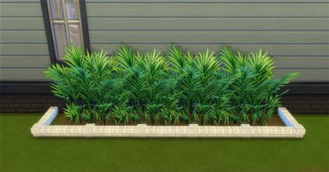 The tree of emotion is a plant filled with mysterious energy. Mod The Sims - For The Outdoor
