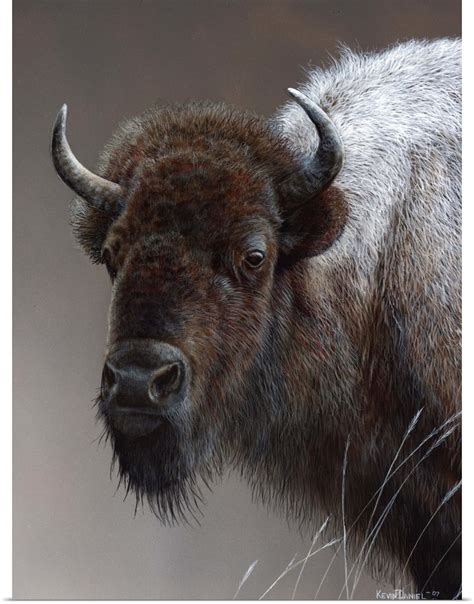 Great Big Canvas American Icon Buffalo Art Print 18x24