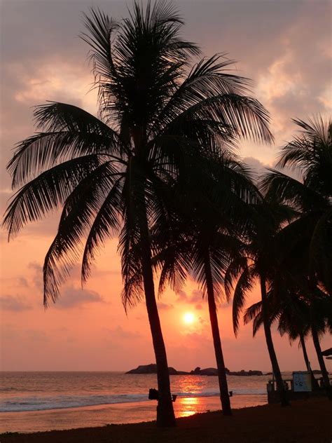 Typical Sri Lanka Sunset Photo