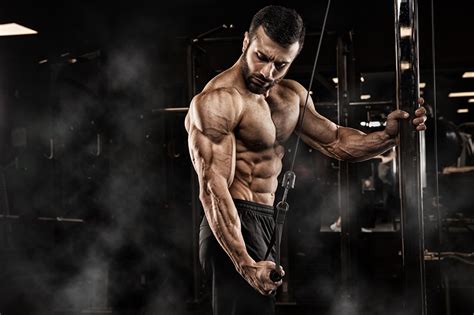Desktop Wallpapers Men Muscle Workout Fitness Sport Bodybuilding