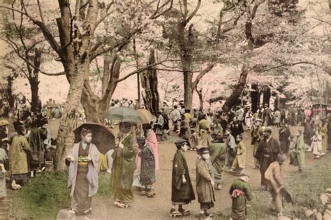 Japanese Cherry Blossoms Circa 1890 The Picture Show Npr