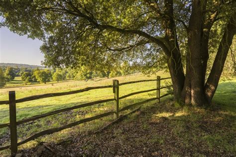 Beautiful Sunlight English Countryside Landscape In Autumn Stock Photo