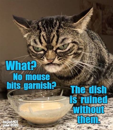 THE GARNISH REALLY MAKE THE FLAVOR STAND OUT Lolcats Lol Cat