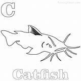Catfish sketch template