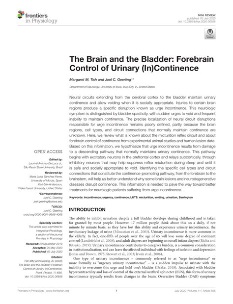 Pdf The Brain And The Bladder Forebrain Control Of Urinary In