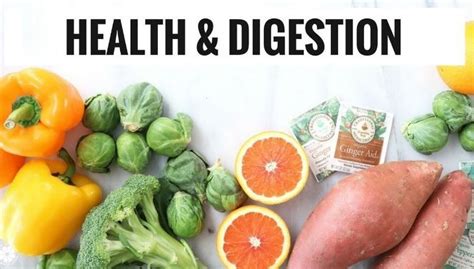 How To Improve Digestion Naturally At Home The Best Way To Take Care