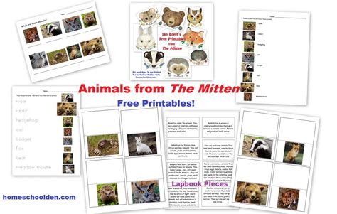 The Mitten Free Animal Printable Activities Homeschool Den