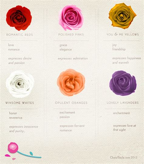 Rose Colors And Their Meaning