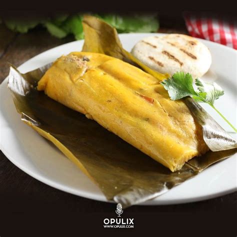 Tamales De Pollo Opulix