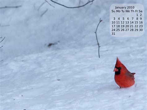 January Background Calendar Its A Binary World 20