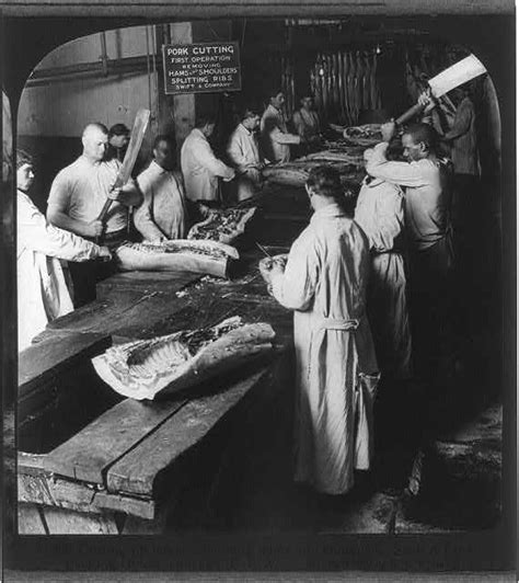 Chicago Meat Packing Industry Swift And Cos Packing House Cutting