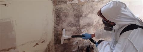 Doing this correctly will prevent mold growth and if not sure on how to do these. How Long Does It Take For Mold Damage To Grow? | Fix Mold ...