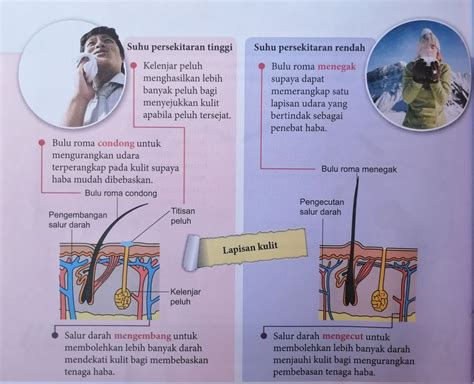 Jika badan kita tidak mendapat bekalan air yang secukupnya, kita akan mudah mendapat masalah kesihatan sama ada dalam jangka masa panjang mahupun pendek. Homeostasis Dalam Benda Hidup