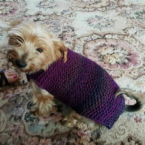 City Stripes Dog Sweater In Lion Brand Wool Ease Thick And Quick