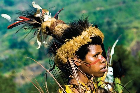 Photos De SimbaÏ Papouasie Nouvelle Guinée