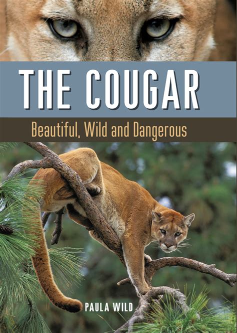 the cougar paula wild