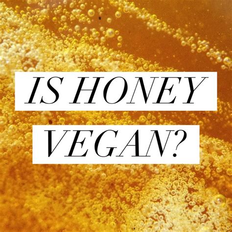 Is Honey Vegan Beekeeping Like A Girl