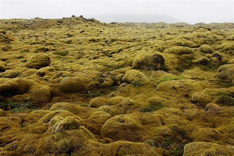Eldhraun Lava Field In The South Of Iceland 1404502 Stock Photo At Vecteezy
