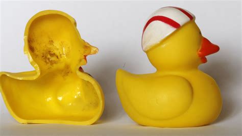 Rubber Ducky Filled With Potentially Pathogenic Bacteria Study Says
