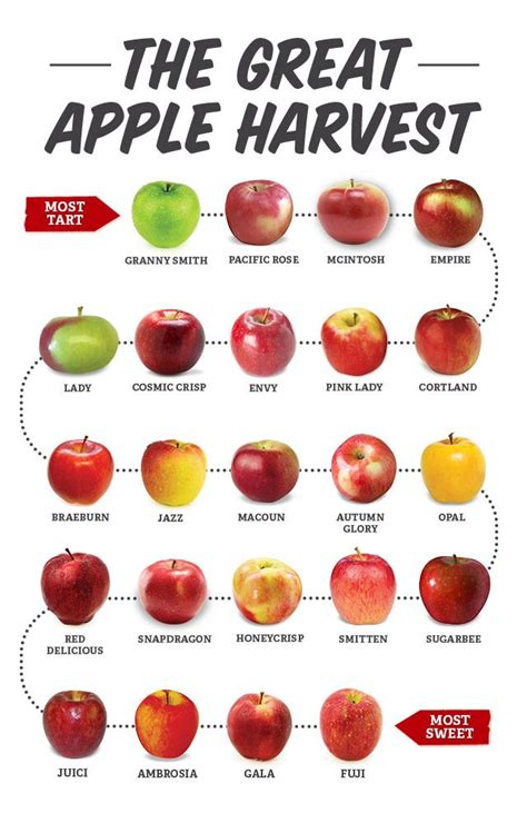 Apples For Baking Chart