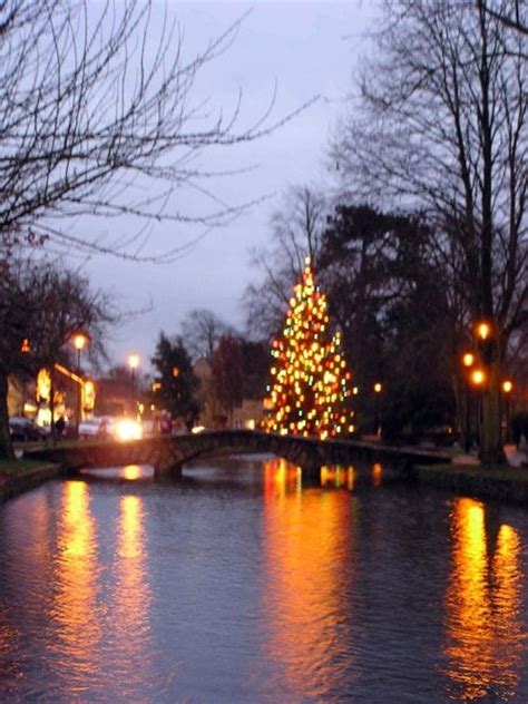 River Christmas Tree In Bourton On The Water