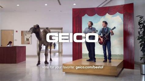 Geico Tv Commercial The Best Of Geico Hump Day Ispottv
