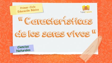 1º BÁsicociencias Características De Los Seres Vivos Youtube