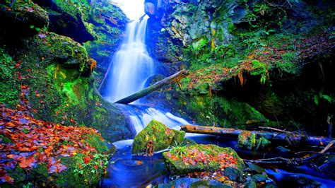 forest-falls-desktop-background-wallpaper-1592428-25600x1600-falls