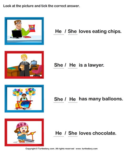 Choose She And He From The Pictures Turtle Diary Worksheet