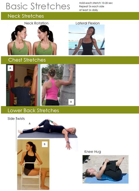 Basic Stretches Page One Exercise Back Exercises Chiropractic