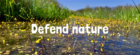 Ask Our Government To Defend Nature Freshwater Habitats Trustfreshwater Habitats Trust