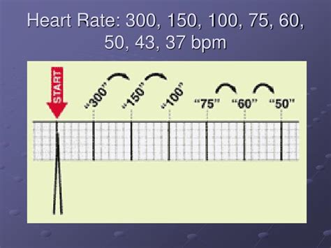What Does A Heart Rate Of 60 Bpm Mean Best Design Idea