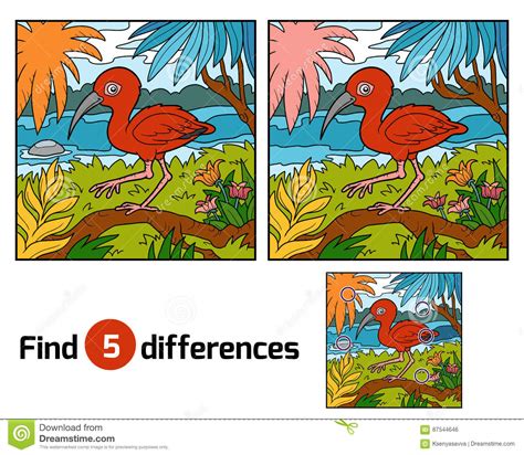 Find Differences, Scarlet Ibis Stock Vector - Illustration of page ...
