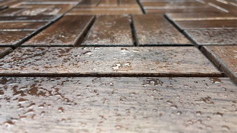 A Wooden Floor Is Getting Wet By The Rain Stock Photo Image Of House