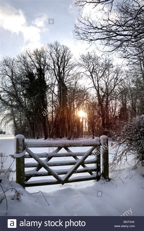 Winter Snow Scene With Farm Gate And Trees Norfolk Uk