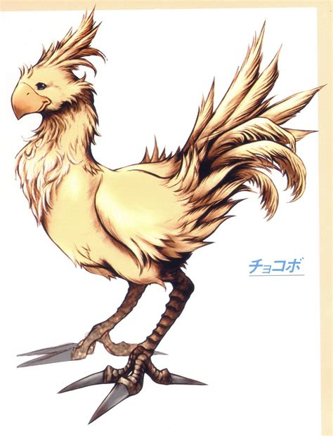 Chocobo Wallpapers Top Free Chocobo Backgrounds Wallpaperaccess