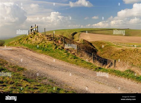 The Wansdyke Ancient Earthwork On The Wiltshire Downs Looking Towards