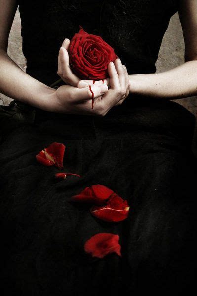 Rosasreinas De Las Flores Blood Art Gothic Rose Rose Art